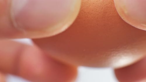 Cracking an Egg in Close-Up View