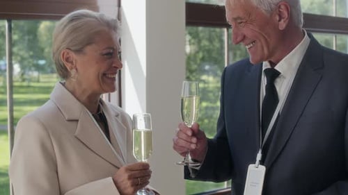 Senior Man and Woman Clinking Glasses During Afterparty