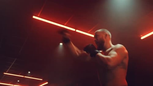 Fight Training