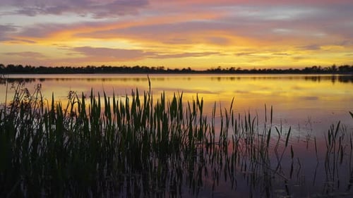 Beautiful Nature Landscape at Sunset Lake Wildlife in Wellen Park in Venice Florida