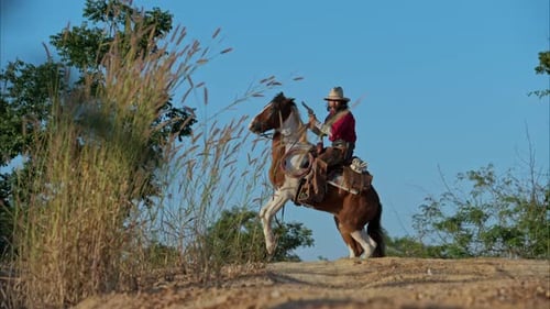 Cowboy on Horseback Rears Up with Pistol