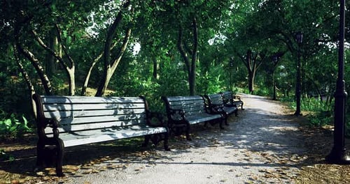 Serenity Around Green Benches Under Trees in a Tranquil Park Setting