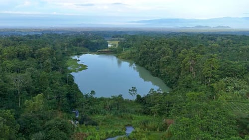 Aerial view of a wild natural lake surrounded by forest.