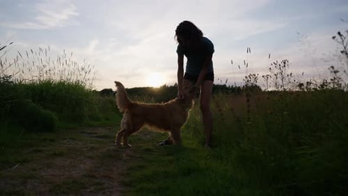 Woman walking with golden retriever dog in sunset light on a peaceful field