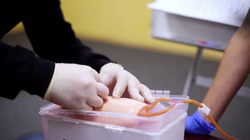 Medical Training on Arm with Attached Tubes