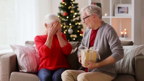Loving Senior Couple Exchanging Christmas Gift at Home