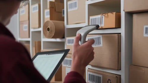 An Employee Of A Transport Company Keeps Records Of The Sorting Of Parcels Packed For Customers Who
