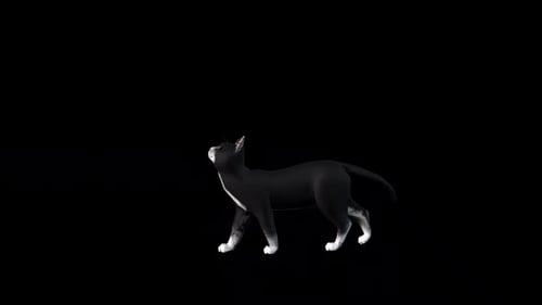 Schwarze Katze steht still