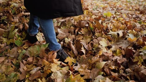 Person Walking Through Fallen Autumn Leaves Outdoors