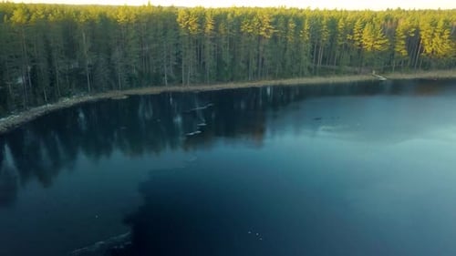 Mesmerizing view beautiful lake surrounded by tall dense green trees on bright sunny day. Descending