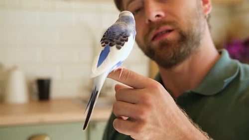 Man with Beard and Blue Budgie Bird on Finger