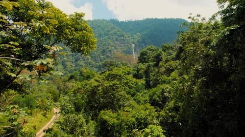 Lush Tropical Forest With Distant Waterfall Aerial View