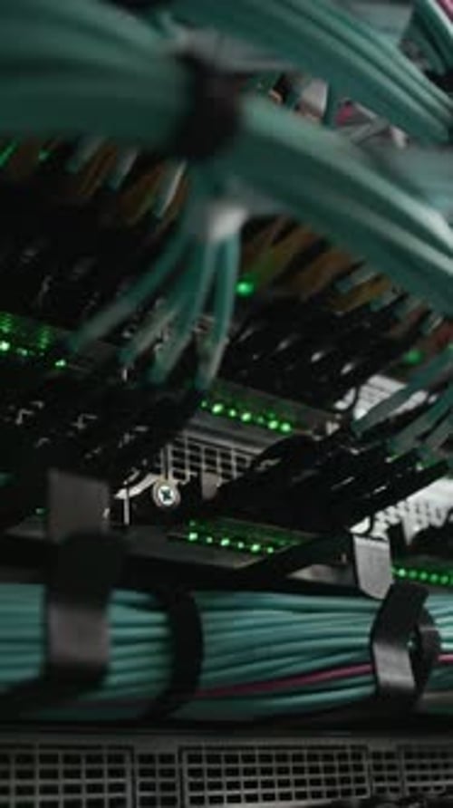 Vertical Macro View of Blinking Network Switch Indicator Lights