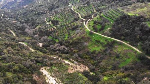 Aerial view of agriculture field