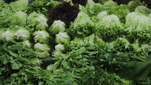 There is a Fresh Green Organically Healthy Salad on the Counter