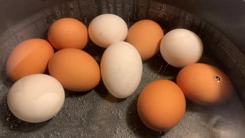 Close Up of Eggs Being Boiled In A Pot