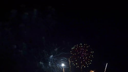 Colorful Fireworks Exploding in the Night Sky