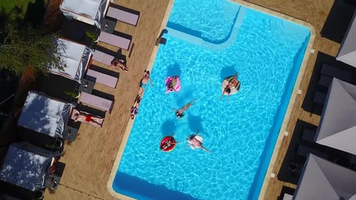 Aerial Friends Chilling in Swimming Pool with Inflatable Flamingo Swan Mattress Happy Young People
