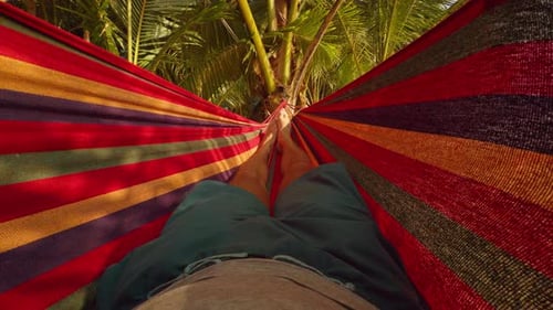First Person View Of Man Opening Colorful Hammock With Hands Spreading Fabric Under Palm Trees In