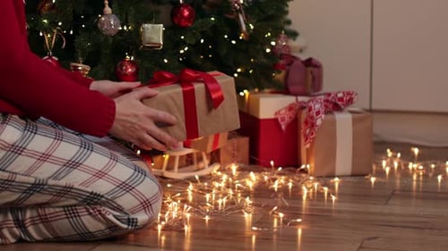 Christmas Gift Arranging near a Decorated Tree