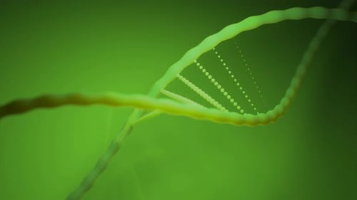 Animated 3D DNA Double Helix Rotating on Green Background