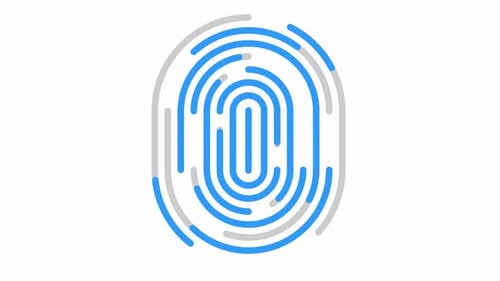 Flat Design Animation of Fingerprint Transforming Into Verified Icon