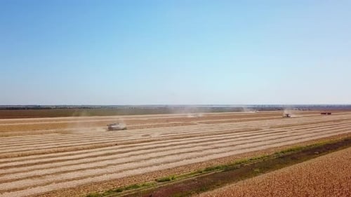 Aerial Drone View Combine Harvesters Working in Soybean Field on Sunset Harvesting Machine Driver