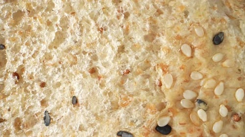 Delicious Bun Covered with Sesame Seeds Close Up