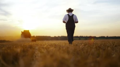 Organic Farming and Agriculture Farmer Walking in Beautiful Golden Rye Field Agricultural Technology