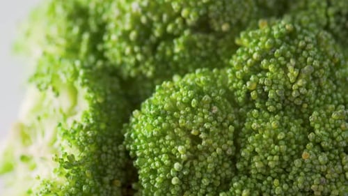 Macro footage of fresh broccoli. Close-up view of green cabbage