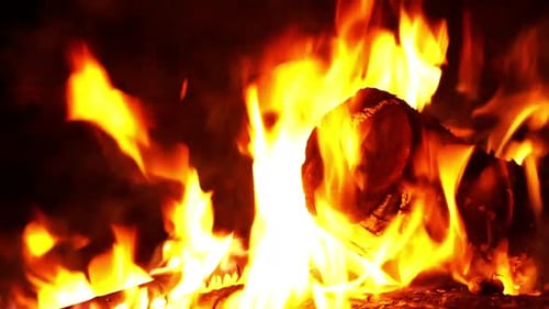 Steady close up video of a campfire. There is a large log visible with flames wrapping around it. Th