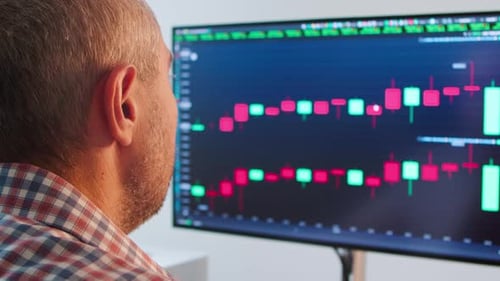 Adult Analyzes Stock Market Data on Computer