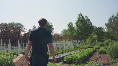 Agronomist Walking to Farm Inspecting Crops Wiping Sweat