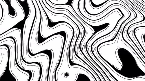 Flowing Abstract Wavy Lines Black and White Motion Background