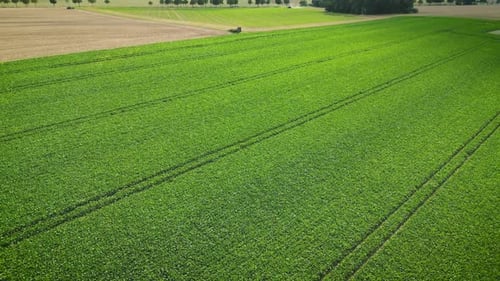 Slow tracking drone shot of various cropping fields Agricultural land