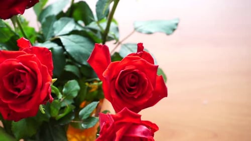 Red Rose Flowers Bunch