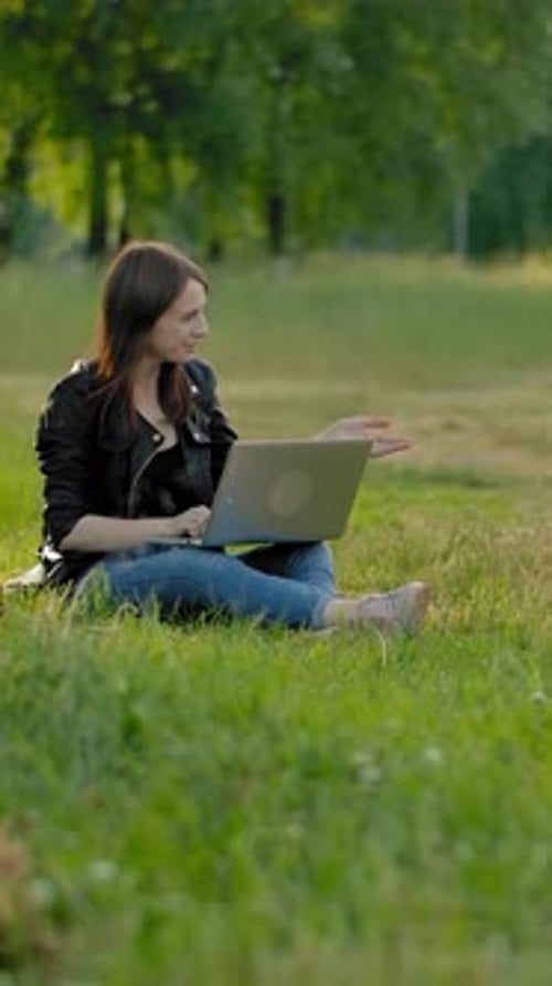 Vertical of A Purebred Dog in the Park Comes to His Mistress Sitting with a Laptop on Her Knees
