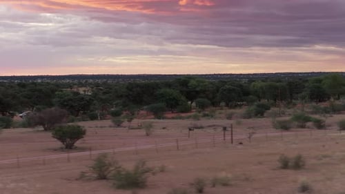 Scenic Drive Through Namibian Savanna Revealing a Fence Dirt Road and Warm Sunset on Horizon