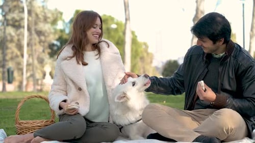Happy Couple Picnics with White Dog in Sunny Park