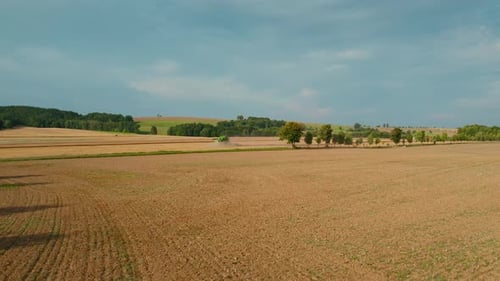 Aerial View of Farmland and Trees