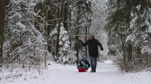 Happy Man Father Rides Joyful Son on Red Sled Through Snowy Forest