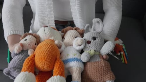 Woman Holding a Collection of Knitted Stuffed Animal Dolls