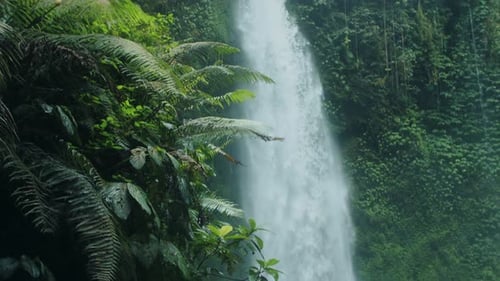 a Large Waterfall in the Jungle