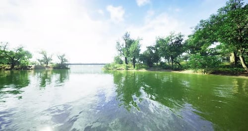 Serene Riverbank View with Lush Greenery and Clear Blue Sky During Daytime