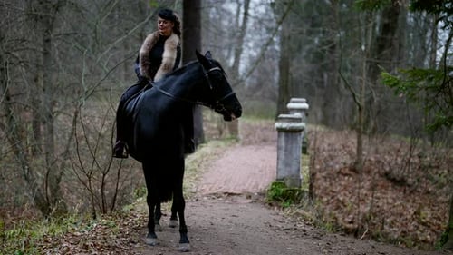 Belle jeune femme cavalière sur un cheval noir dans un vieux parc à la mode automnale du XIXe siècle