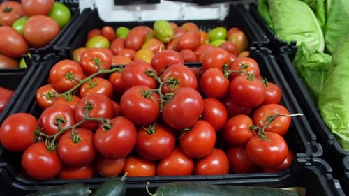 Fruit Shop Vegetables