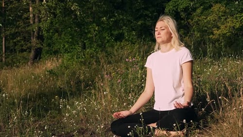 Woman in lotus pose sitting in forest at soft sunrise or sunset.