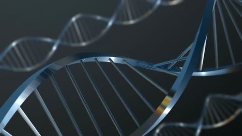 DNA Molecule, double helix strands