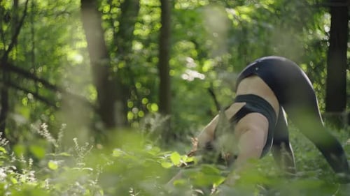 A Woman Stands in a Yoga Asana in the Forest in Nature