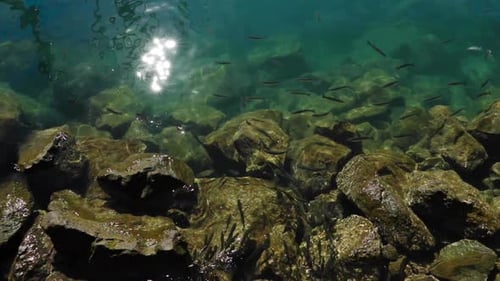 Sailing small fish in the sea at the marina near the stony shore and the sun reflecting on the sea s